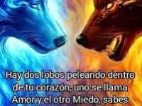 Creencias limitantes y como&nbsp;cambiarlas.