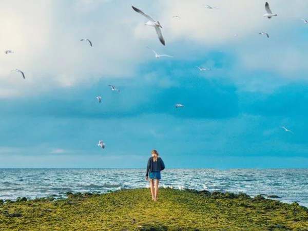 Me gustaría contarte: «Entrégate a la&nbsp;Vida».