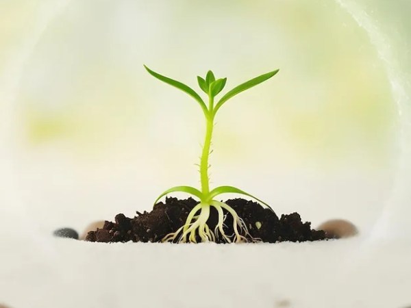 La vida es neutra.  Te lo&nbsp;cuento